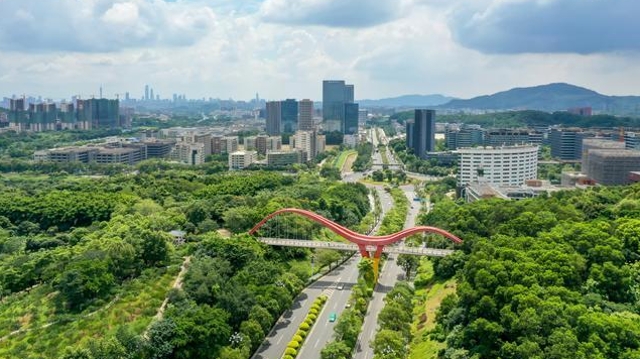 发挥科技优势，今年黄埔区行车速度比去年加快了