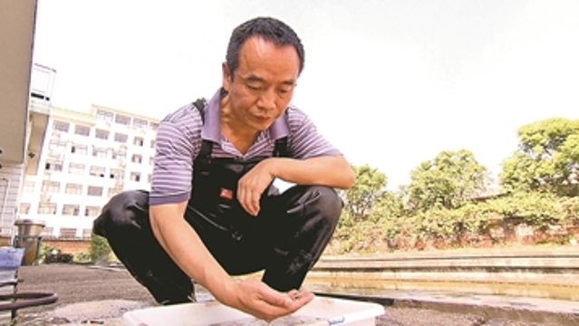 这位院士将工作站设在广州：让中国人吃上优质鱼