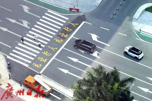 纳入驾驶员考核！广州公交和出租车行业开展“礼让斑马线”专项行动