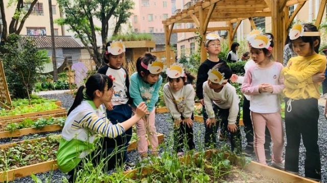 “最美广州城市小菜园”颁奖！60个小菜园获奖