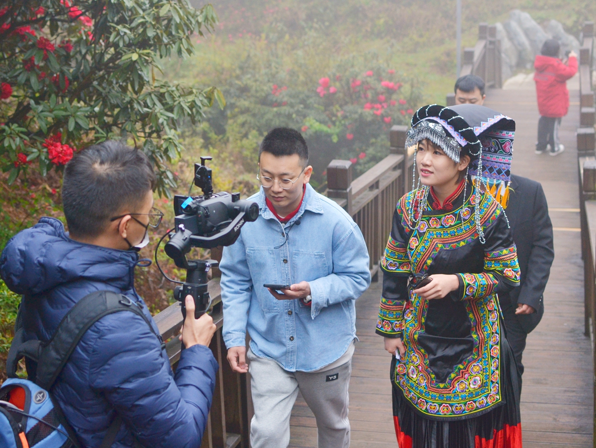 “直播+赋能乡村振兴”项目