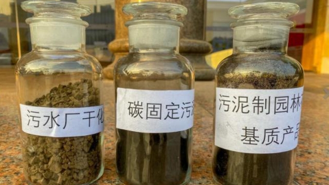 【粤迎寅虎 年味湾区】广州污泥新出路，化作盆泥种年花