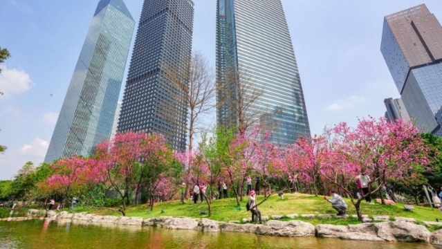 廣州出臺加強城市更新年度實施計劃管理的指導意見