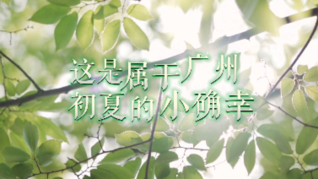 中日合拍纪录片《宝藏》10月15日在日本大富电视台首播
