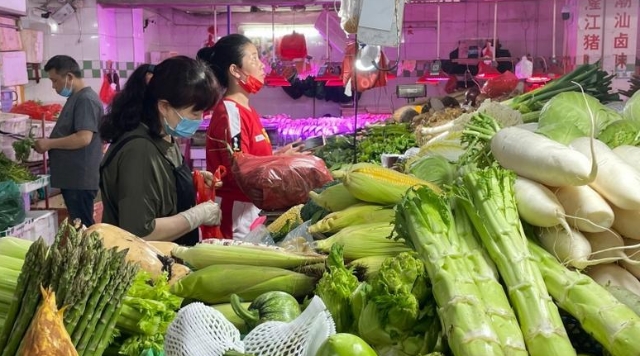 广州蔬菜价格连续第五周回落
