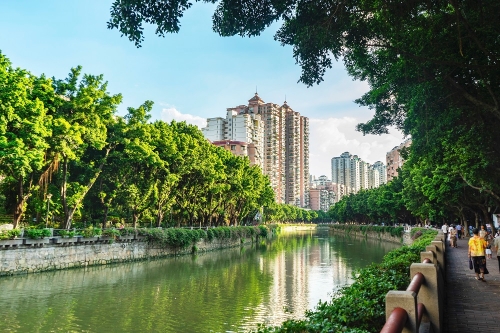 海珠涌"蜕变",河长这么做……_广州日报大洋网