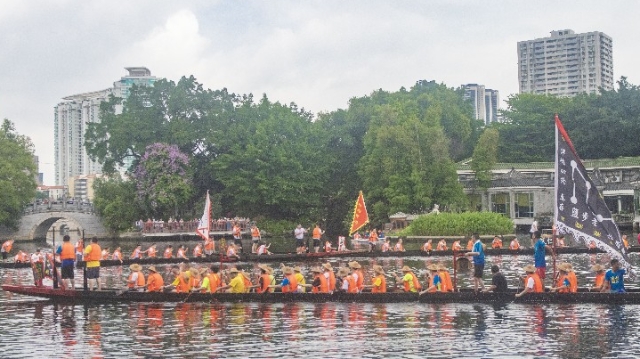 “起龙啦！”荔枝湾上龙船鼓又响起