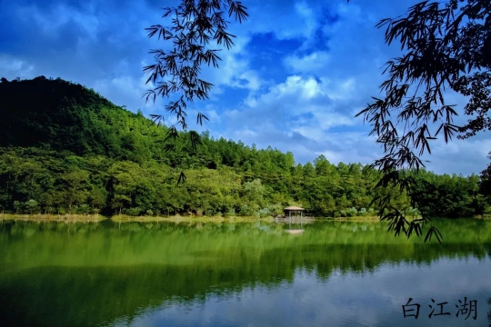 31白江湖3.jpg