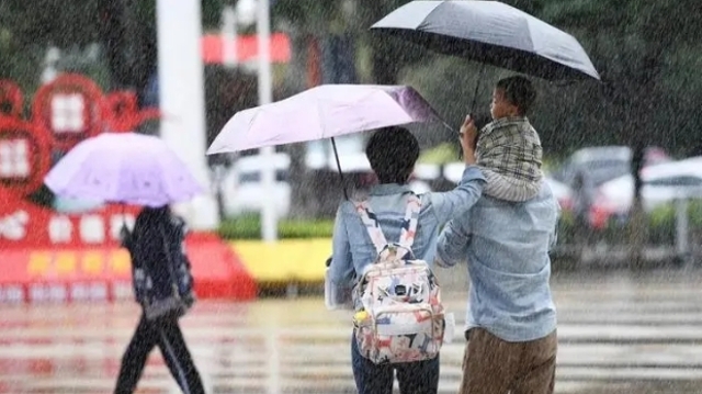 今年第7号台风已登陆徐闻，广州今天仍有大雨