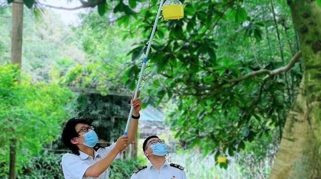 实施常规监测，华南国家植物园来了一群海关关员