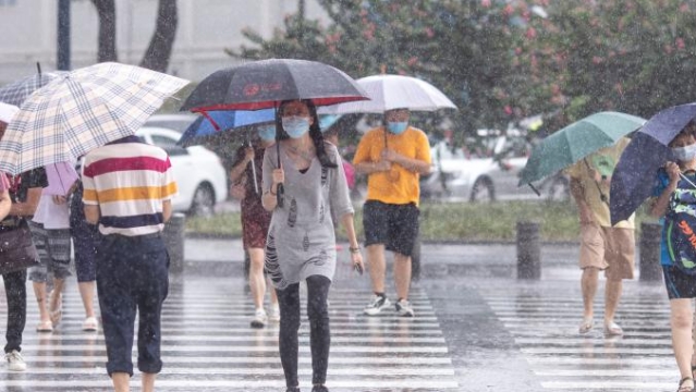 广州：风雨最大影响时段主要出现在25日凌晨到夜间