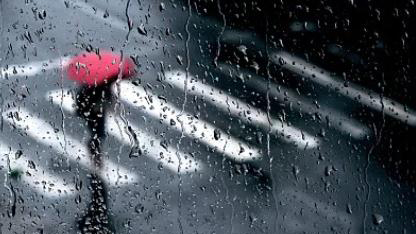 白云区台风蓝色预警信号生效中，多个景区场馆暂停开放