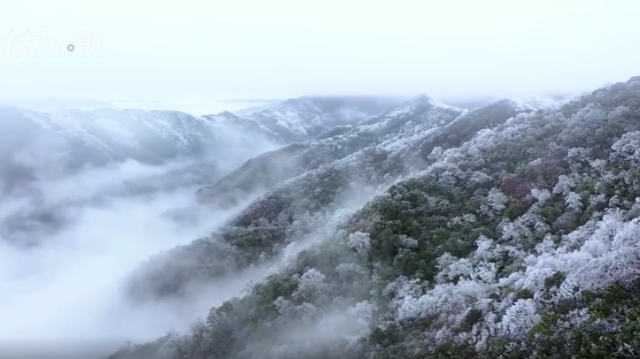 广西雾凇美景宛如冰雪童话