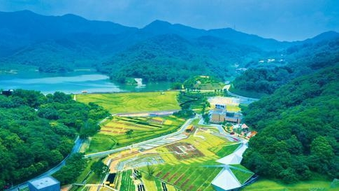 高质量发展 广州挑大梁 | 串联山水林田湖海，广州以更大力度壮大县域经济