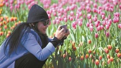 广州过年，这些活动等你来解锁