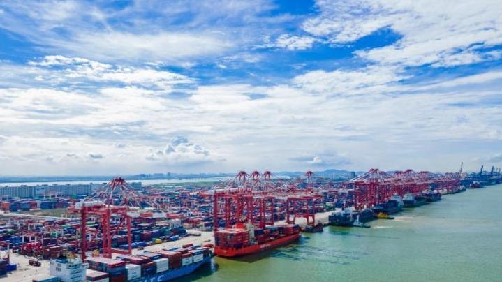 南沙机遇 共同参与|建设人与自然和谐共生的现代化“美丽南沙”