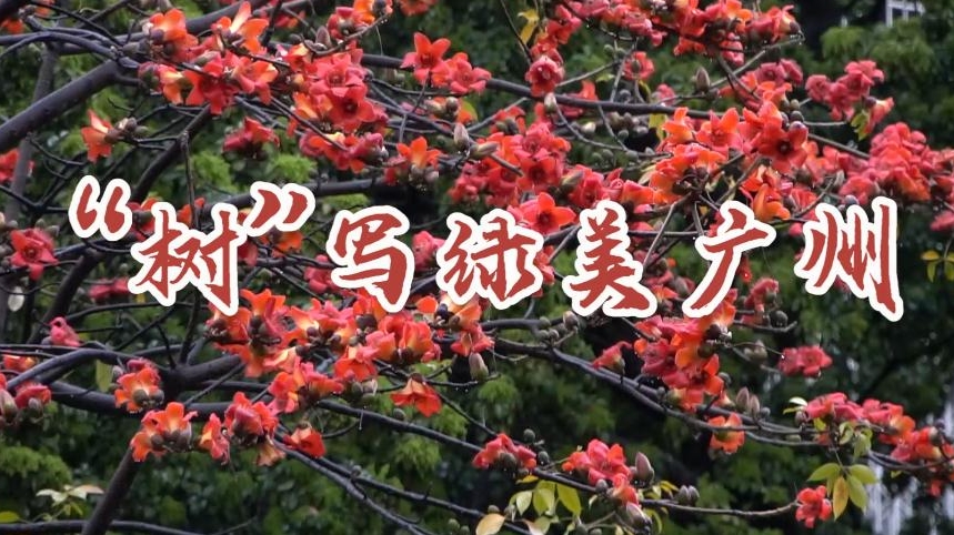 植树节丨“树”写绿美广州