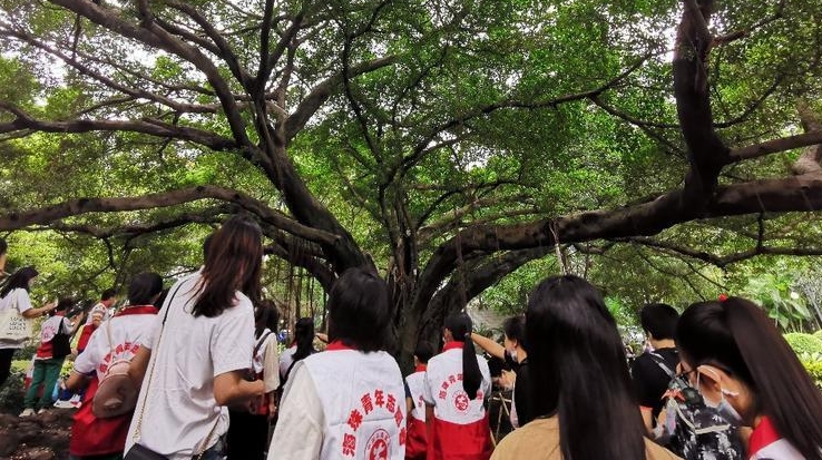 绿美海珠丨“林小青”志愿者开展护林服务