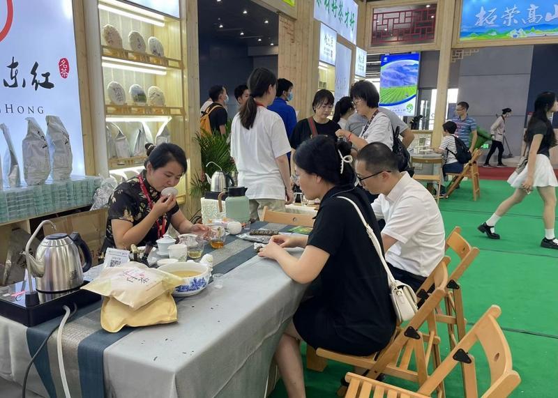 逾300家企业参展！2023春季广州茶博会开幕