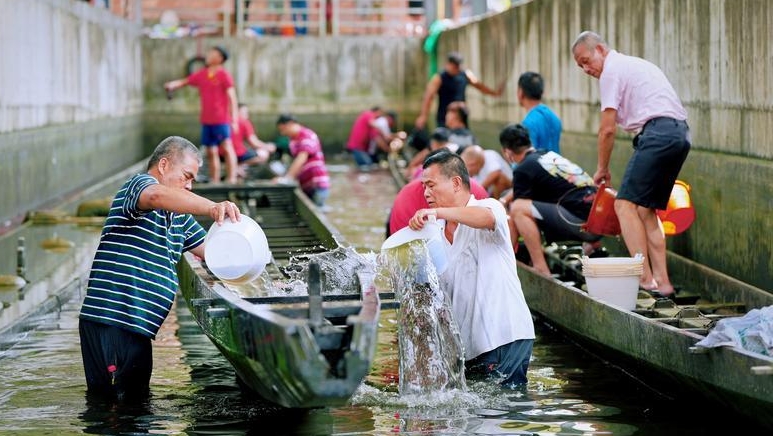 “四月八”起龙正当时，新老“东坡号”露真容