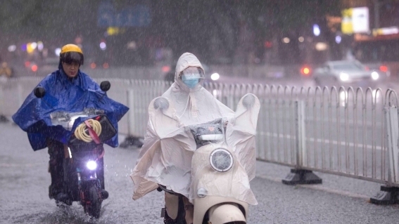 记得带伞！广州多区暴雨或雷雨大风预警信号生效