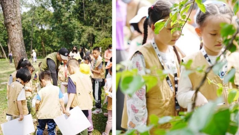 端午假期，去华南植物园体验“探险家”的乐趣