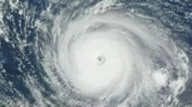 广州多措并举做好台风“泰利”防御工作