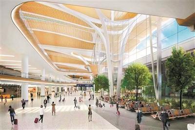 白云机场T3中区花冠柱封顶 新航站楼将“花开羊城”