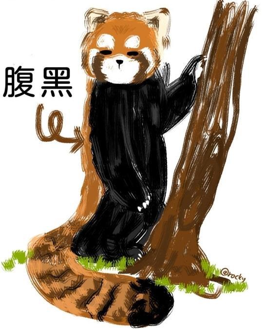 可爱暴击！“国际小熊猫日”广州动物园传喜讯，小熊猫“晞晞”诞下龙凤胎