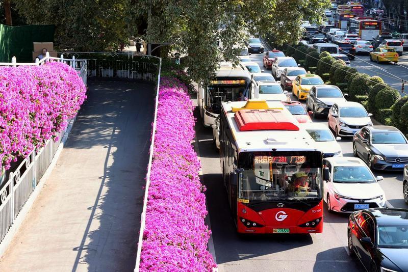 出行注意！2023年广州国际灯光节期间公共交通服务有调整