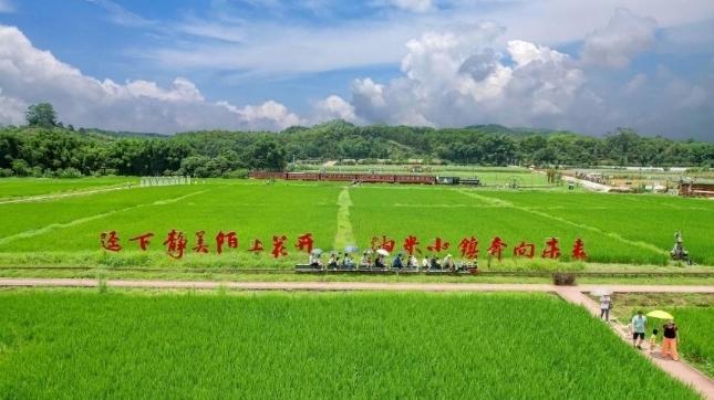 广州黄埔迳下村3年内达到4A景区标准