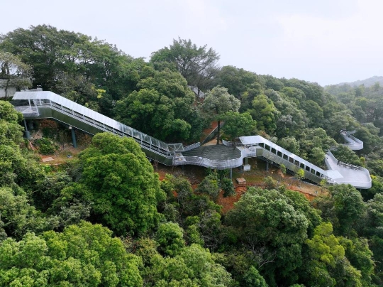 广州也有“无痛爬山”啦，摩星岭步步高观光扶梯即将免费开放