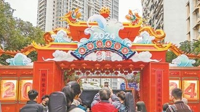 海珠花市年花上线新品种