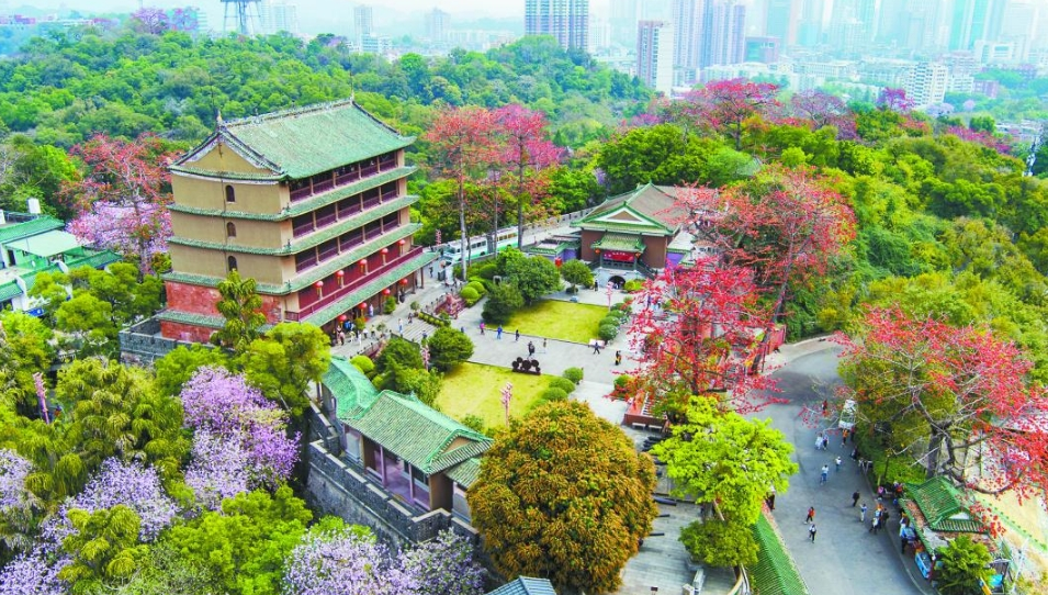 读懂广州·粤韵丨昔建博物馆开风气 今与城相融领潮流