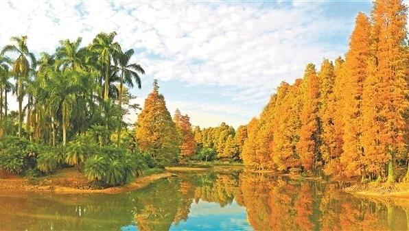 读懂广州·粤韵丨于广州世外桃源 看世界植物奇珍