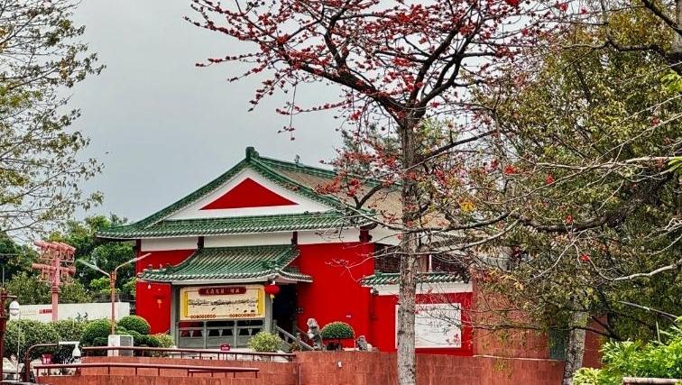 英雄花绽放三月天 邀你来读懂英雄城