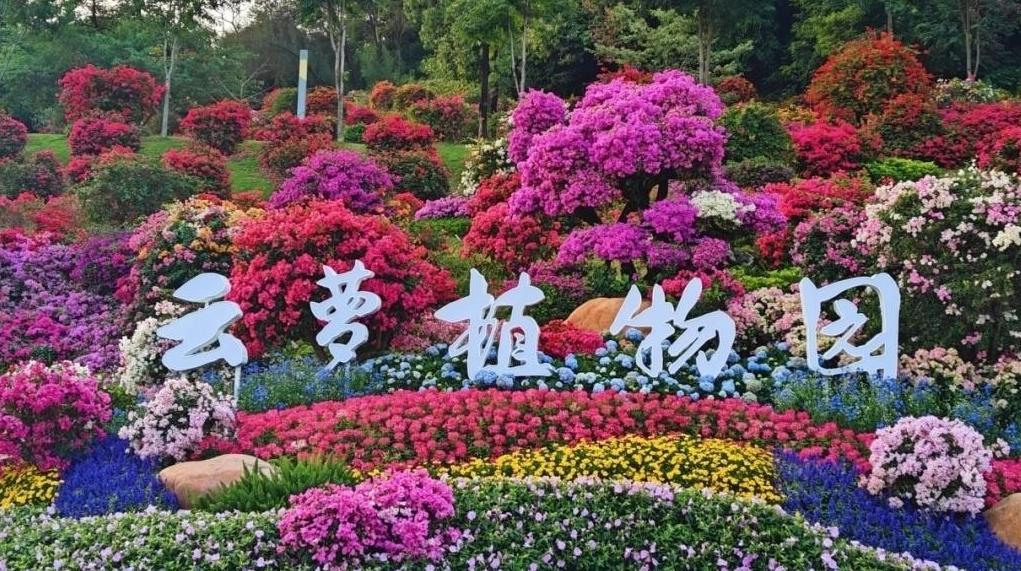 广州，从千年花城到世界花城