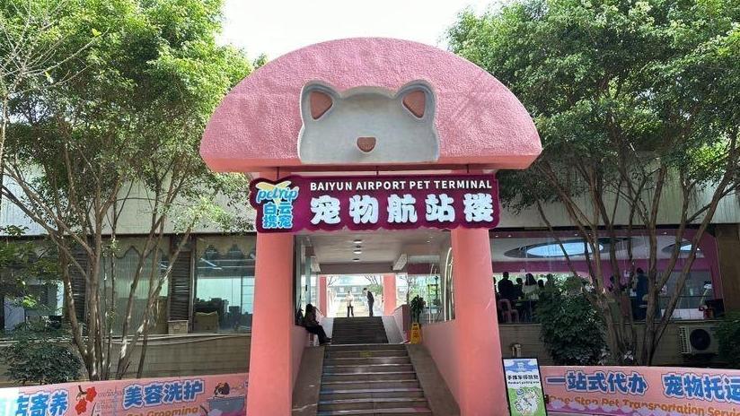 全国首家！广州白云机场宠物航站楼即将启用