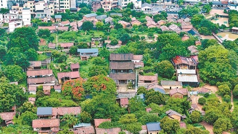 读懂广州·粤韵｜​驿道古村荔枝蜜 从化山水筑桃源