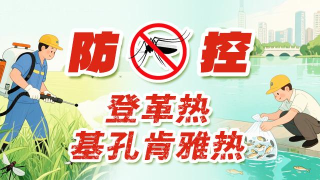 【专题】防控登革热、基孔肯雅热