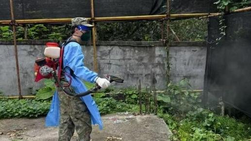 严防基孔肯雅热！广州海珠基干民兵驰援街道抗疫