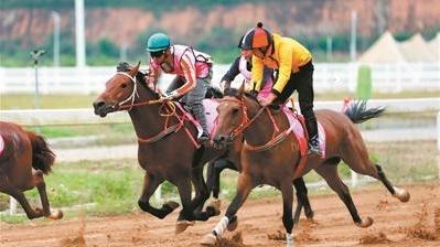 广黔协作绘就跨区域联动的黔南答卷