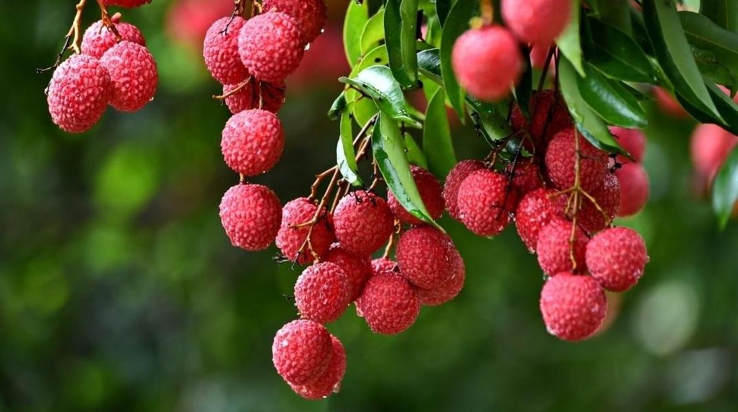 前三季度广州GDP突破2.3万亿元，同比增长4.1%