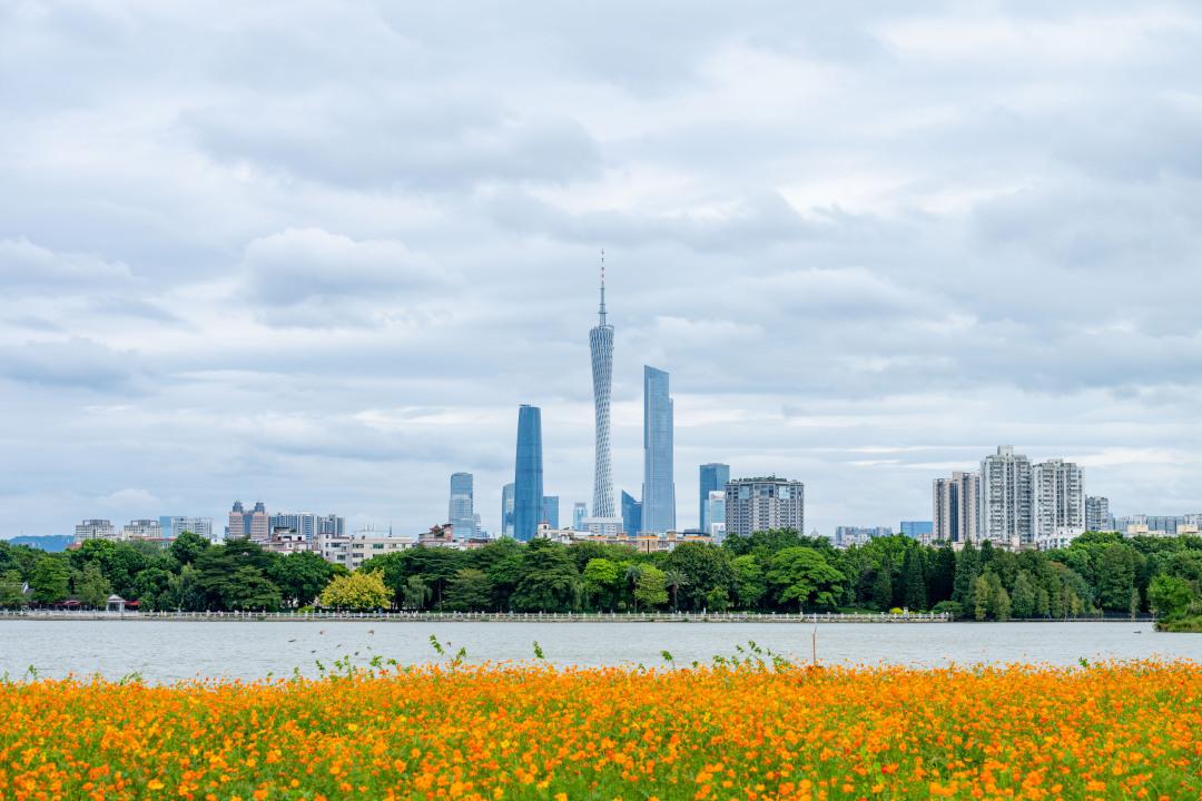 “鸟中大熊猫”安家,全球新物种频现!海珠湿地交出城央生物多样性“生动答卷”