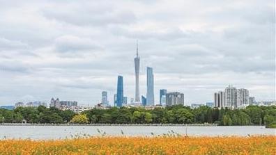 “鸟中大熊猫”光临“城央绿心”海珠湿地