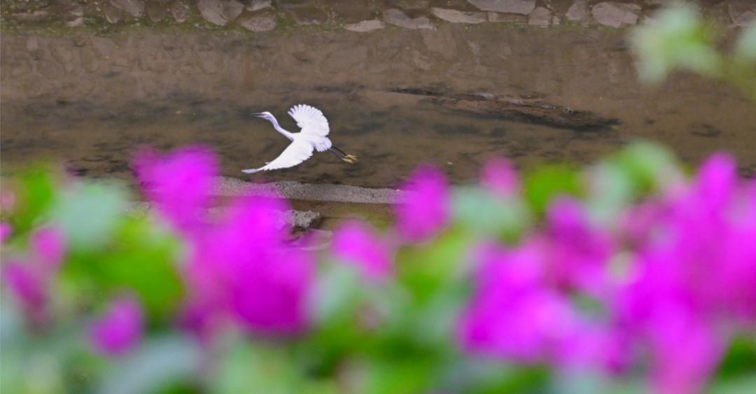 未来三天气温小降，11月9日广州可能有雨
