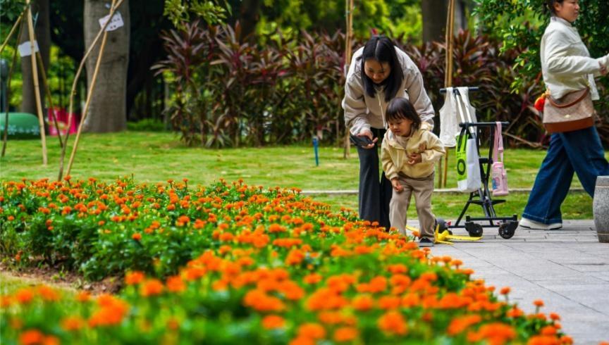 10月广州气温偏高，5次高温过程都挡不住入秋