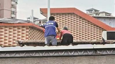 祖孙俩误上楼顶 网格员成功救援