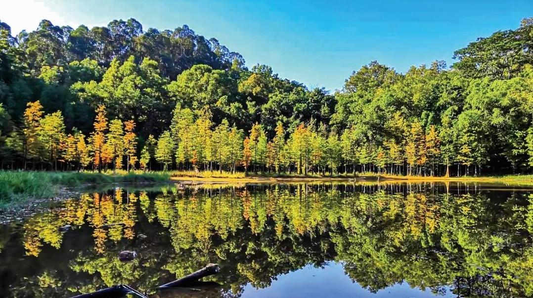 从古镇公园到美丽河湖,这两条徒步路线美丽又健康