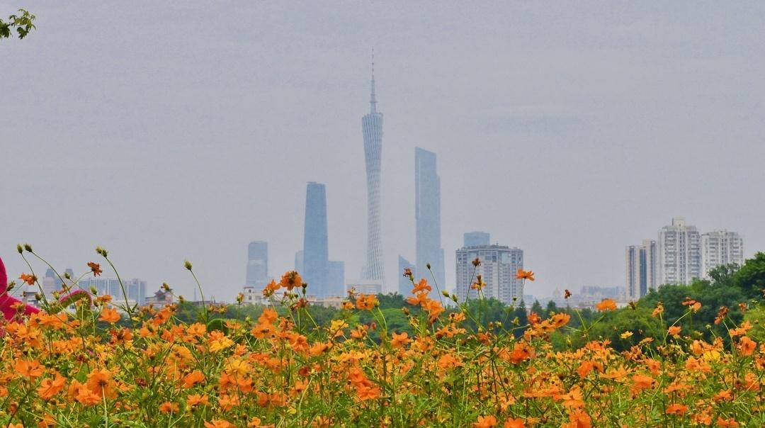 广州入秋还要热到30℃,台风也组团生成了